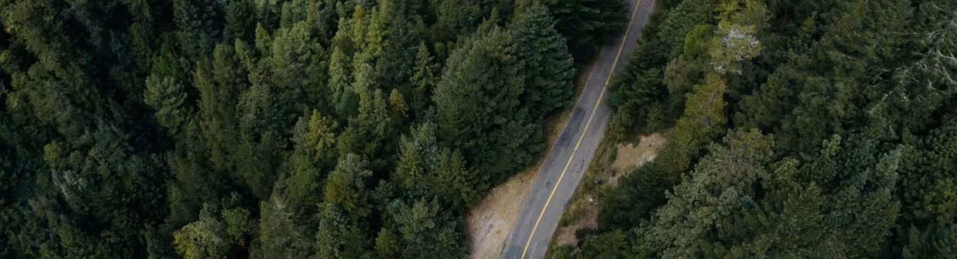 Lokale Aktivitäten, globale Präsenz
